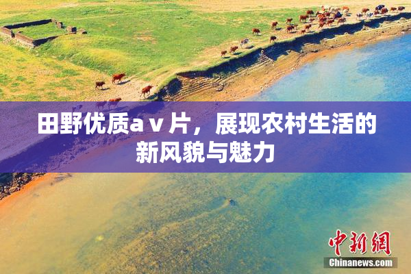 田野优质aⅴ片，展现农村生活的新风貌与魅力
