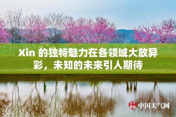 Xin 的独特魅力在各领域大放异彩，未知的未来引人期待