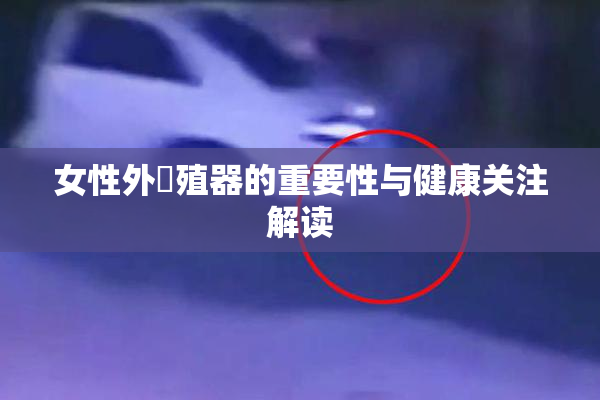 女性外夝殖器的重要性与健康关注解读