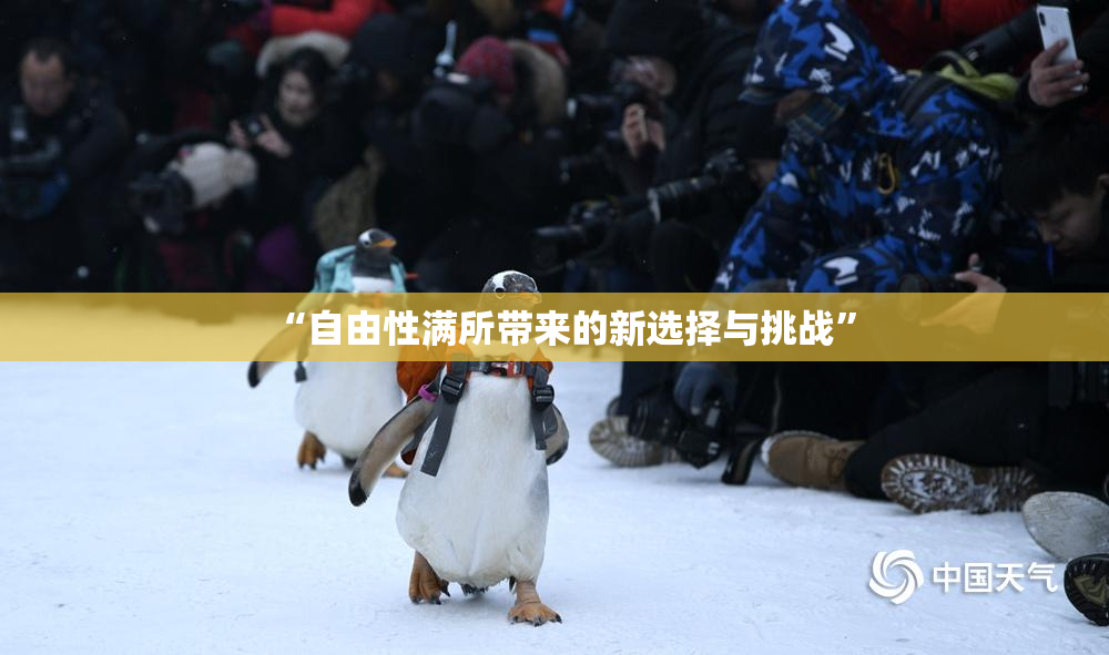 “自由性满所带来的新选择与挑战”