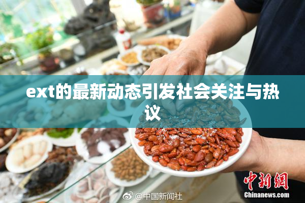 ext的最新动态引发社会关注与热议