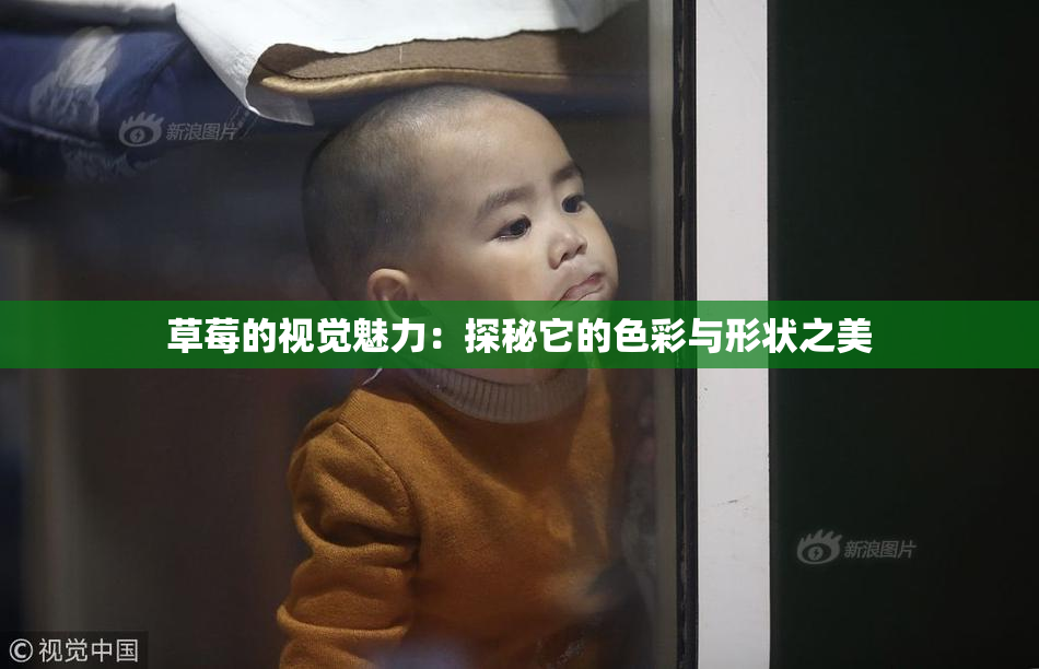 草莓的视觉魅力：探秘它的色彩与形状之美