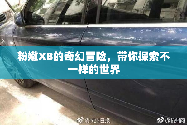 粉嫩XB的奇幻冒险，带你探索不一样的世界