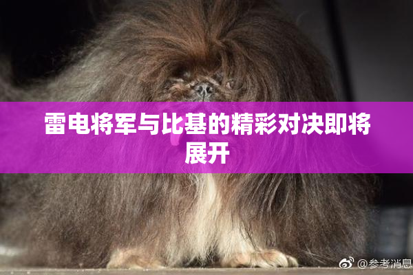 雷电将军与比基的精彩对决即将展开