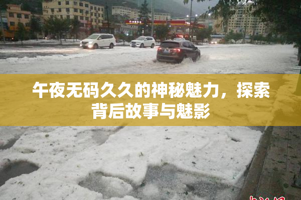 午夜无码久久的神秘魅力，探索背后故事与魅影