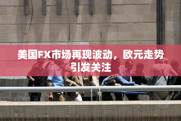 美国FX市场再现波动，欧元走势引发关注