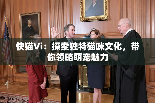 快猫Vi：探索独特猫咪文化，带你领略萌宠魅力