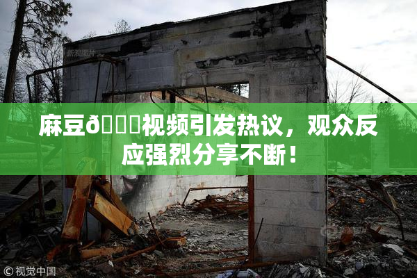 麻豆🔞视频引发热议，观众反应强烈分享不断！