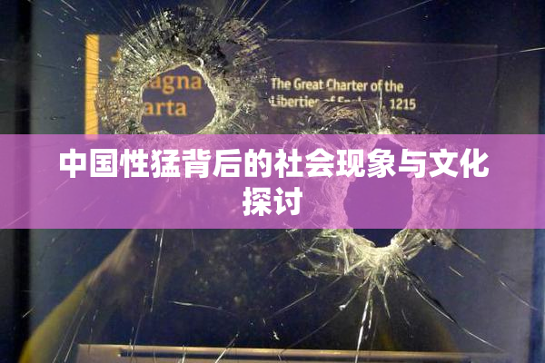 中国性猛背后的社会现象与文化探讨