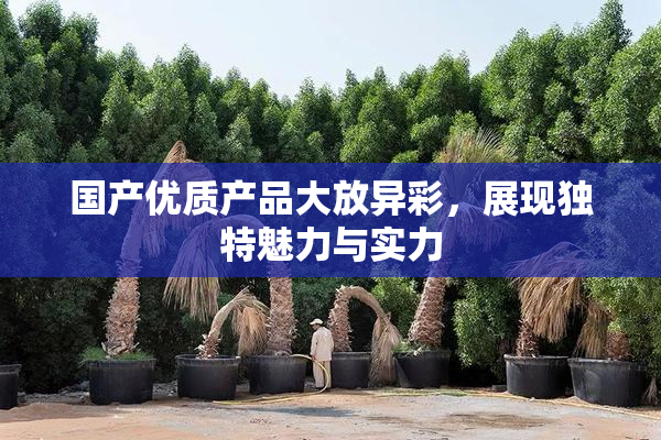 国产优质产品大放异彩，展现独特魅力与实力