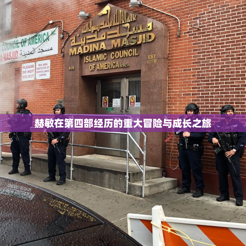 赫敏在第四部经历的重大冒险与成长之旅