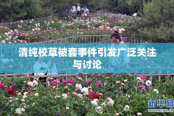 清纯校草被套事件引发广泛关注与讨论