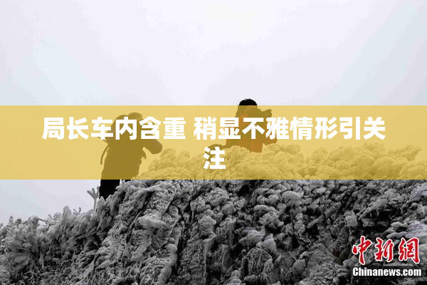 局长车内含重 稍显不雅情形引关注
