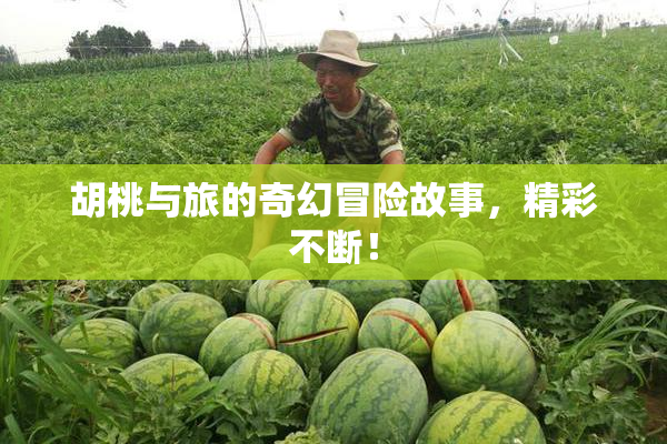 胡桃与旅的奇幻冒险故事，精彩不断！