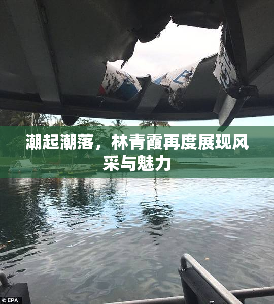 潮起潮落，林青霞再度展现风采与魅力