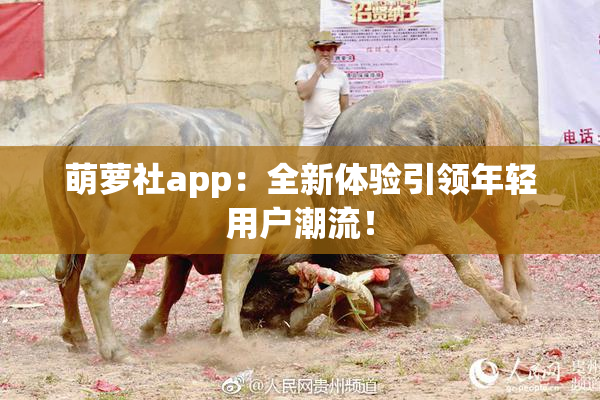 萌萝社app：全新体验引领年轻用户潮流！