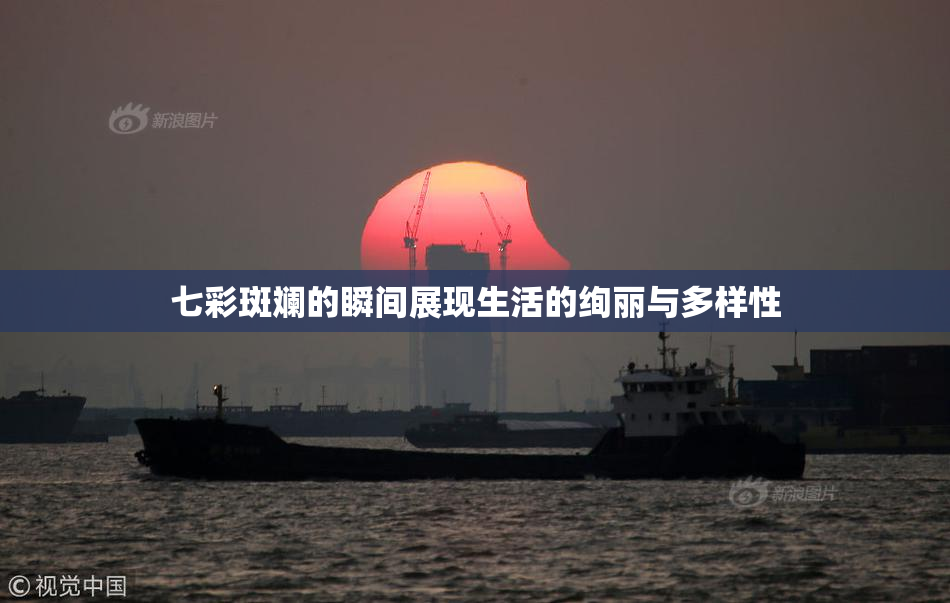 七彩斑斓的瞬间展现生活的绚丽与多样性
