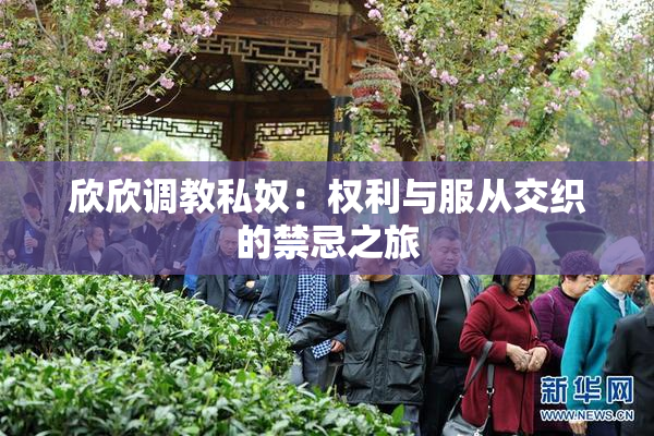 欣欣调教私奴：权利与服从交织的禁忌之旅