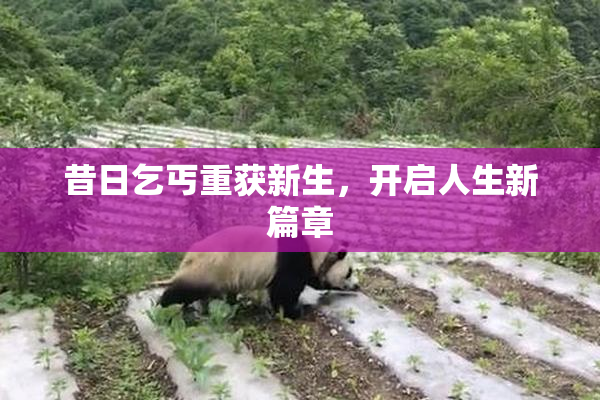 昔日乞丐重获新生，开启人生新篇章