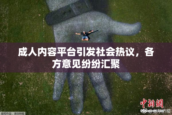 成人内容平台引发社会热议，各方意见纷纷汇聚