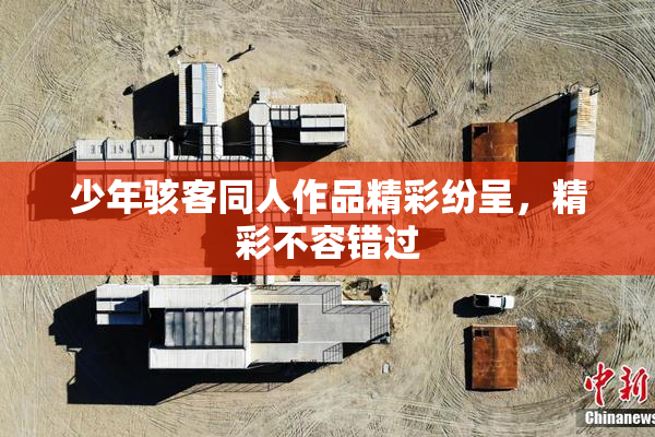 少年骇客同人作品精彩纷呈，精彩不容错过
