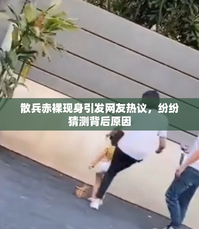 散兵赤裸现身引发网友热议，纷纷猜测背后原因