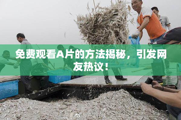 免费观看A片的方法揭秘，引发网友热议！