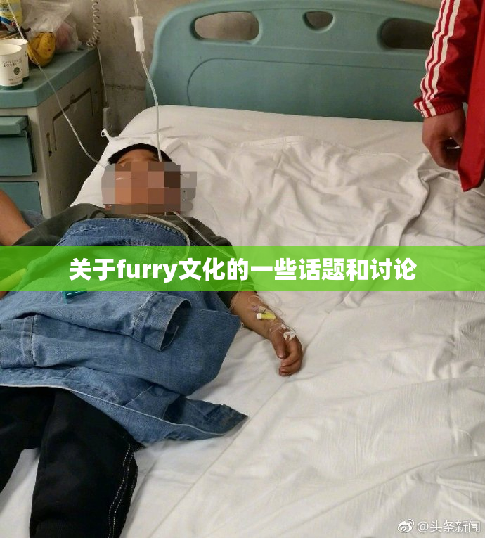 关于furry文化的一些话题和讨论