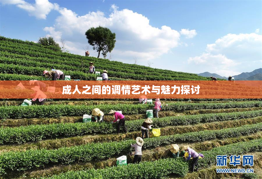 成人之间的调情艺术与魅力探讨