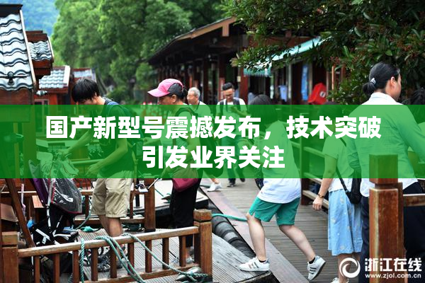 国产新型号震撼发布，技术突破引发业界关注