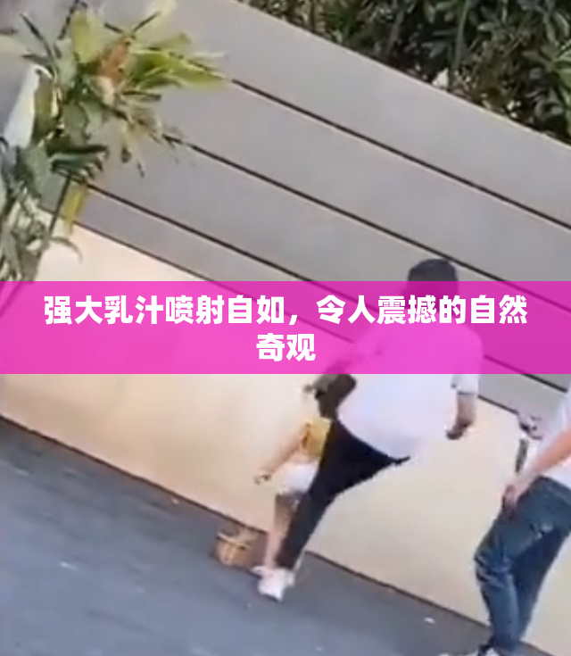 强大乳汁喷射自如，令人震撼的自然奇观