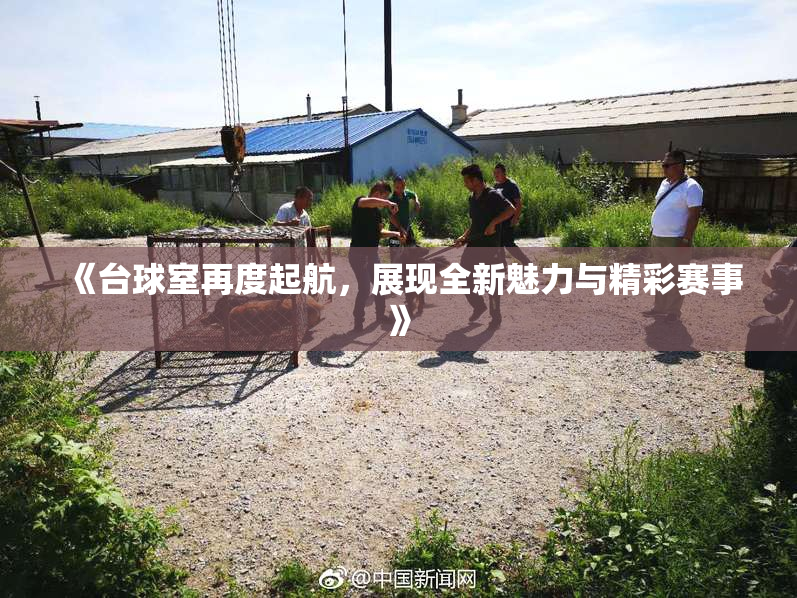 《台球室再度起航，展现全新魅力与精彩赛事》