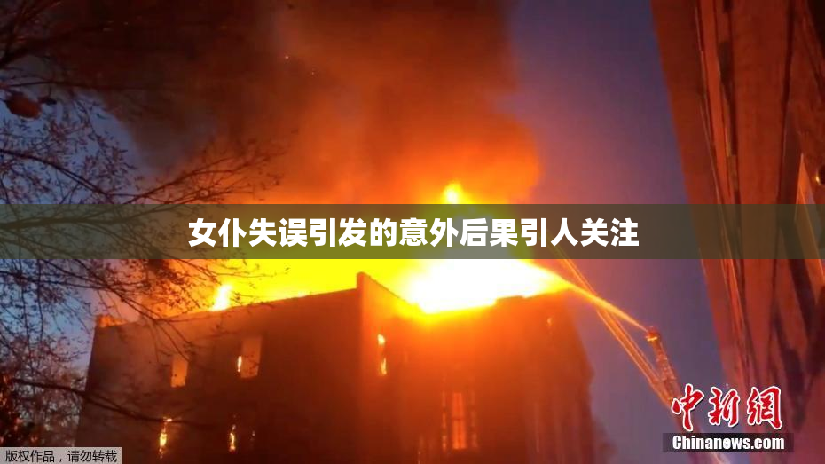 女仆失误引发的意外后果引人关注