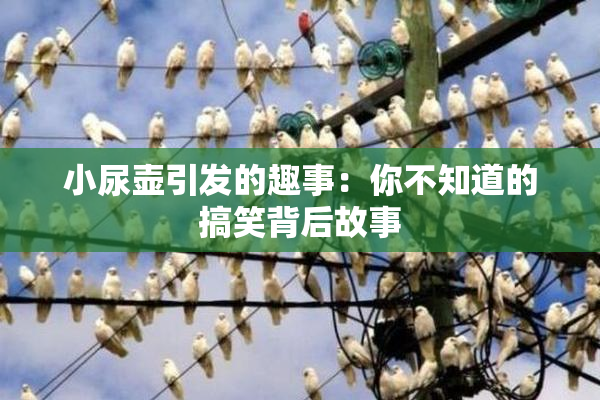 小尿壶引发的趣事：你不知道的搞笑背后故事