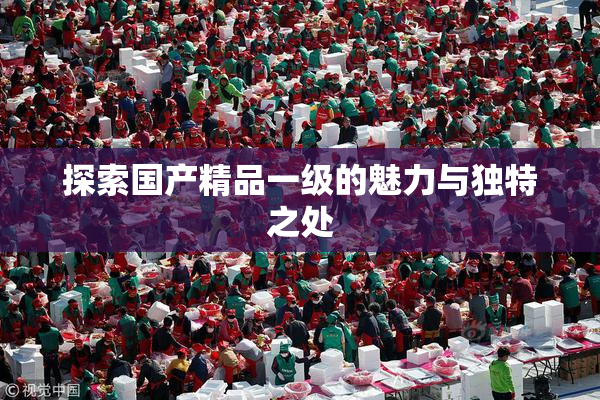 探索国产精品一级的魅力与独特之处