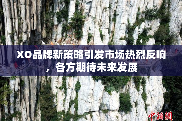 XO品牌新策略引发市场热烈反响，各方期待未来发展