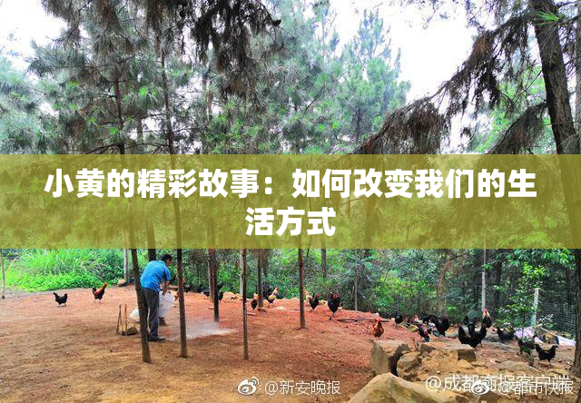 小黄的精彩故事：如何改变我们的生活方式