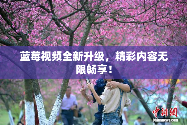 蓝莓视频全新升级，精彩内容无限畅享！