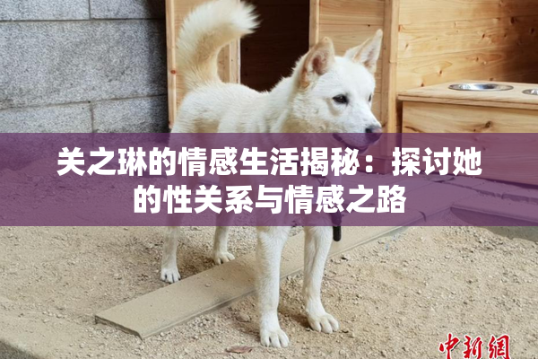 关之琳的情感生活揭秘：探讨她的性关系与情感之路