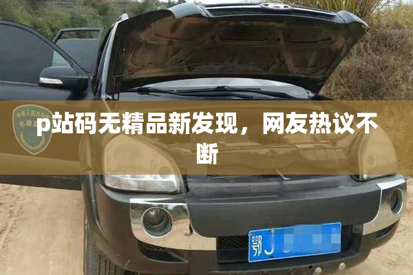 p站码无精品新发现，网友热议不断