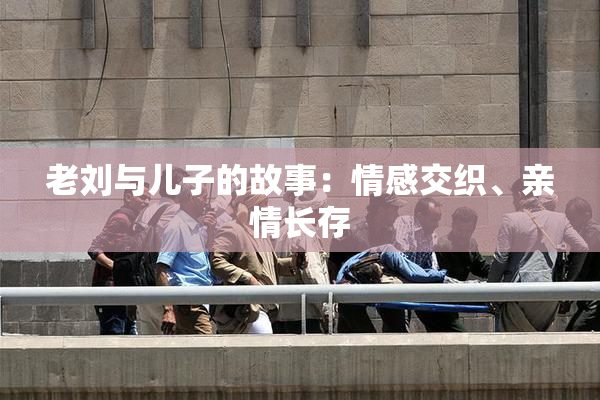 老刘与儿子的故事：情感交织、亲情长存