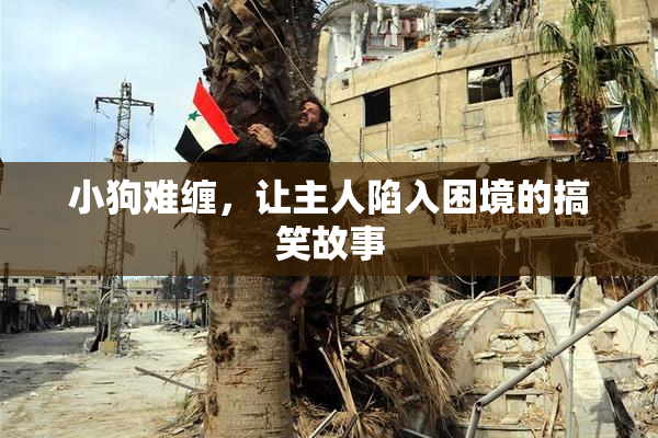 小狗难缠，让主人陷入困境的搞笑故事