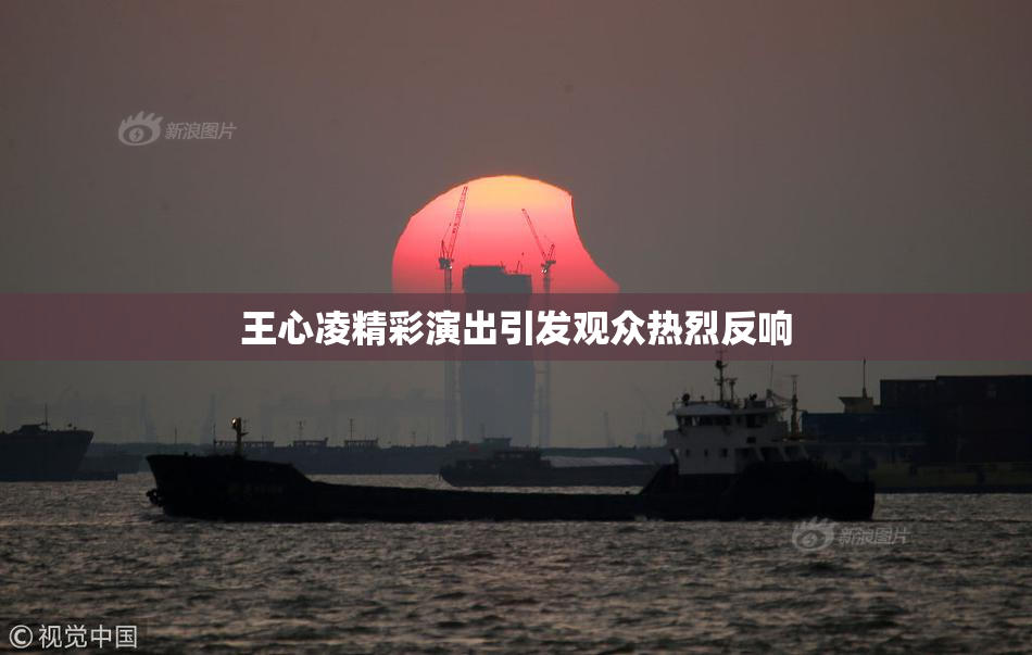 王心凌精彩演出引发观众热烈反响