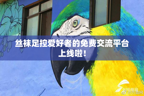 丝袜足控爱好者的免费交流平台上线啦！