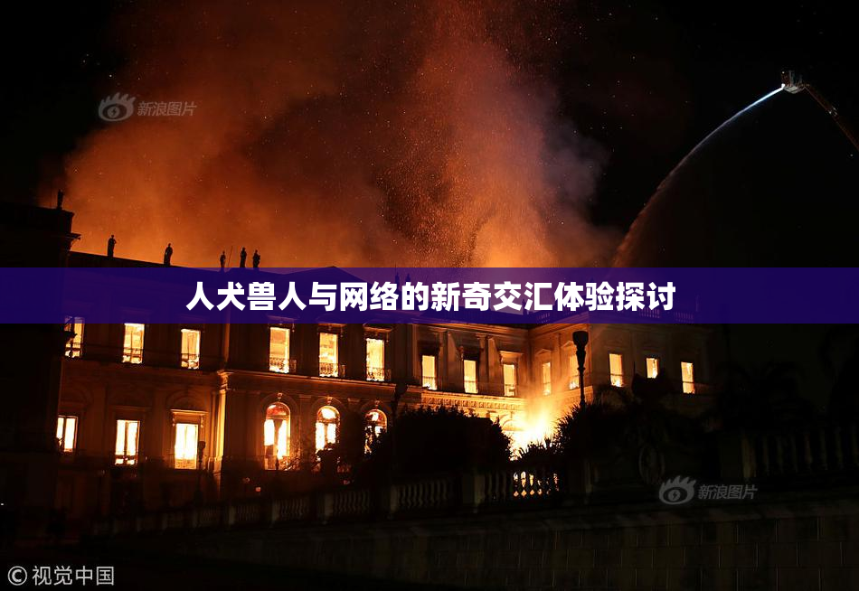 人犬兽人与网络的新奇交汇体验探讨