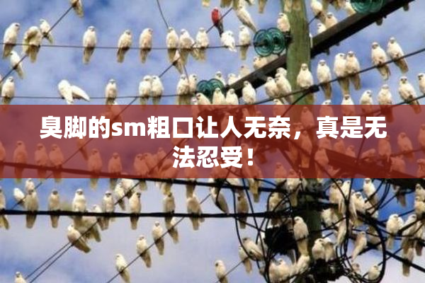 臭脚的sm粗口让人无奈，真是无法忍受！