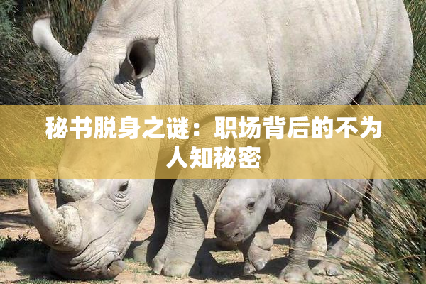 秘书脱身之谜：职场背后的不为人知秘密