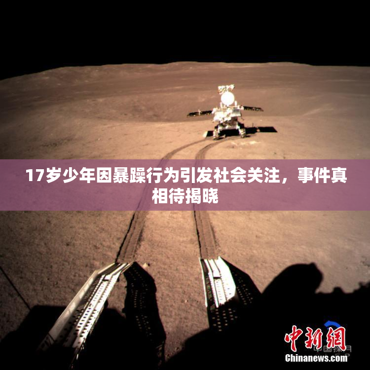17岁少年因暴躁行为引发社会关注，事件真相待揭晓
