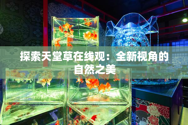 探索天堂草在线观：全新视角的自然之美