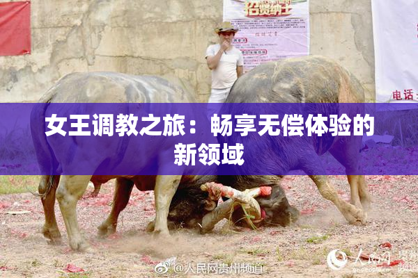 女王调教之旅：畅享无偿体验的新领域